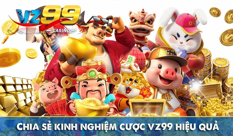 Chia sẻ kinh nghiệm cược vz99 hiệu quả